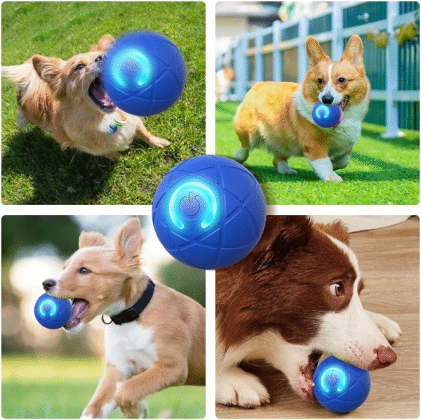 Interactive Dog Ball Toy, 2025 Upgrade Automatic Rolling Ball Interactive Pet Balls Shaky Toy, Self Moving Smart Jumping Electric Balls for Pets Indoor Outdoor Fun (Blue Orange 2 pack )