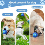 Interactive Dog Ball Toy, 2025 Upgrade Automatic Rolling Ball Interactive Pet Balls Shaky Toy, Self Moving Smart Jumping Electric Balls for Pets Indoor Outdoor Fun (Blue Orange 2 pack )