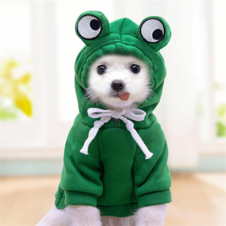 Warm dog winter clothes cute dog coat hoodie pet dog clothes green frog pet clothes are suitable for French bulldog Chihuahua Pompeii Bear (green, XS 1.1 lb-3.3 lb S 3.3lb-5.5lb)
